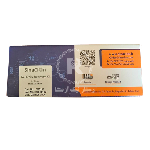 کیت استخراج DNA از ژل آگارز سیناکلون