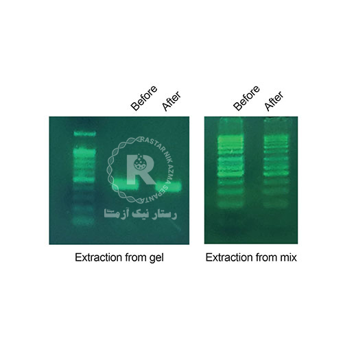 DNA  Extraction kit (Agarose gel & PCR products)-A101221-50 Preps