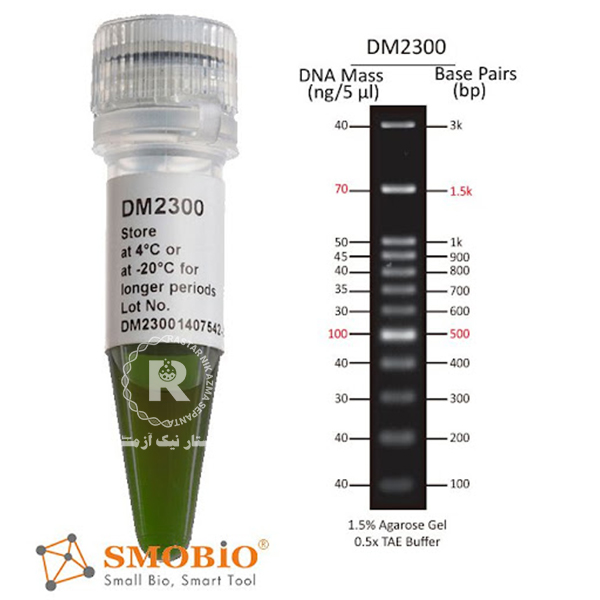 DNA LADDER 100bp SMOBIO -DM2300