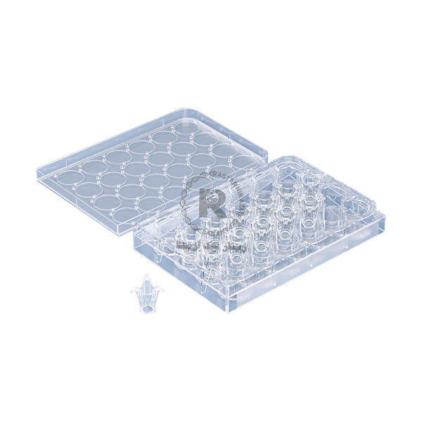 culture insert- 24 well, 0.33 cm2, 8/00 um pore, PC cell (Translucent) , SPl 35224