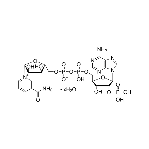 NADPH 100MG سيگما آلدريچ -(N5755)