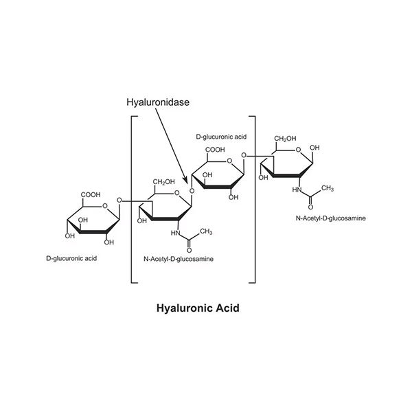 Hyaluronidas 30mg سيگما -آلدريچ (H4272)