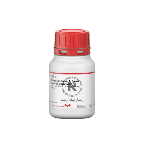 RNASE 1G سيگما آلدريچ -(R5503)
