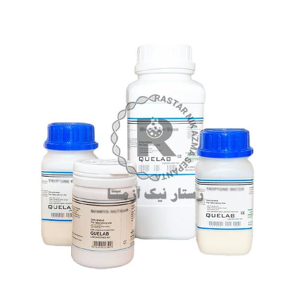 سرم سيترات خرگوش كيولب