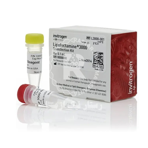 LIPOFECTAMINE 3000/0.1ML