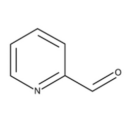 2-Pyridinecarbaldehyde سیگما آلدریچ 