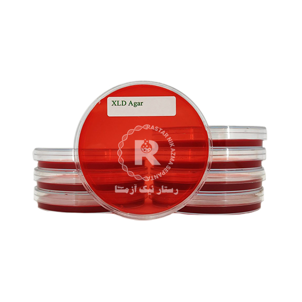 محيط كشت آماده XLD