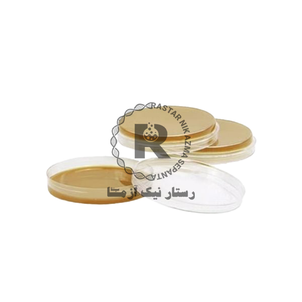 محيط كشت آماده سابرو -دكستروز آگار