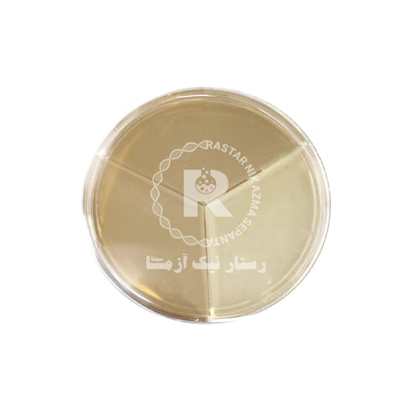 محيط كشت آماده سه -خانهMULLER 8cm