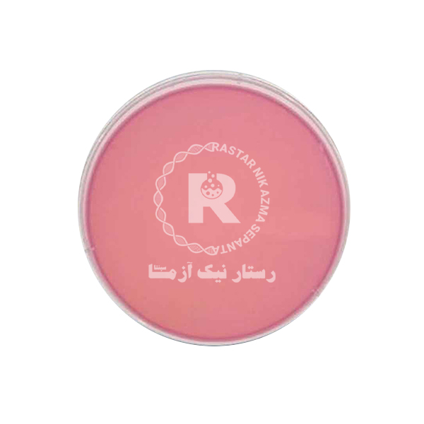 مك كانكي آماده