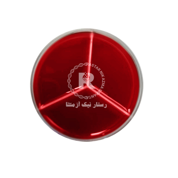 محيط كشت آماده 8CMبلاد آگار -سه خانه