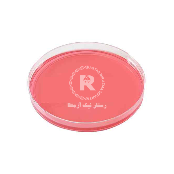 محيط كشت آماده مانيتول سالت -آگار