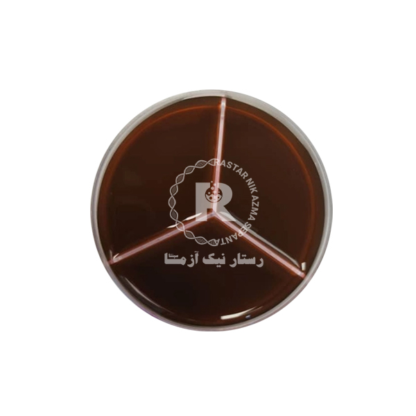 محيط كشت سه خانه blood 8cm