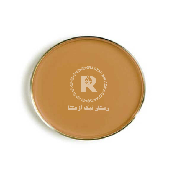 محيط كشت آماده سابرو -دكستروز آگار