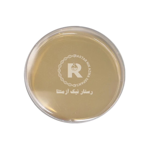 محيط كشت آمادهMULLER -HINTON Agar