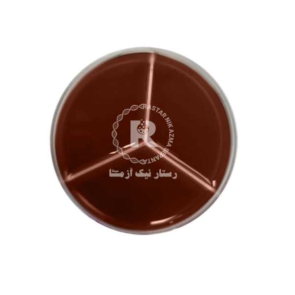 محيط كشت آماده 8CM سه خانه - EMB