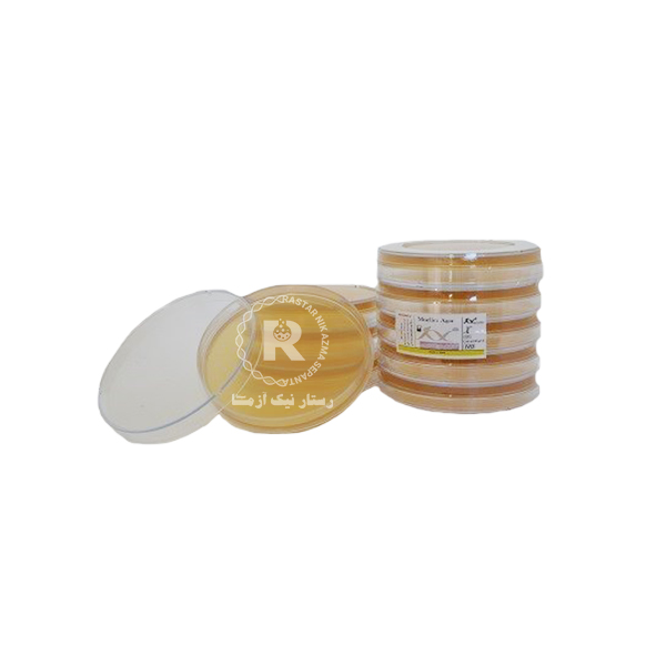 محيط كشت آمادهMULLER -HINTON Agar