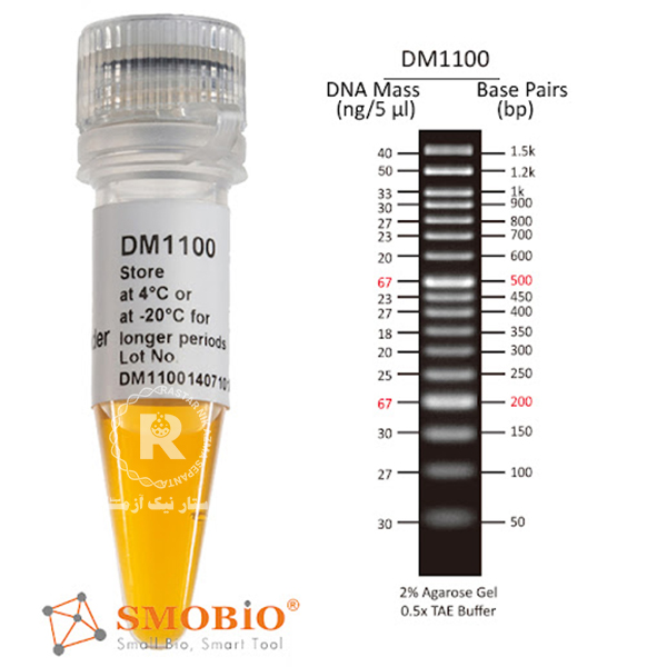 DNA LADDER 50PB SMOBIO -DM1100