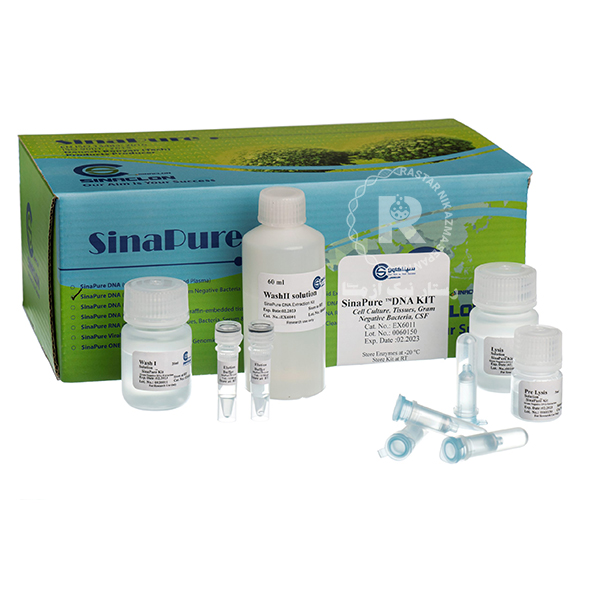 SinaPure-DNA (Cell culture, Tissues, Gram negative Bacteria and CSF)