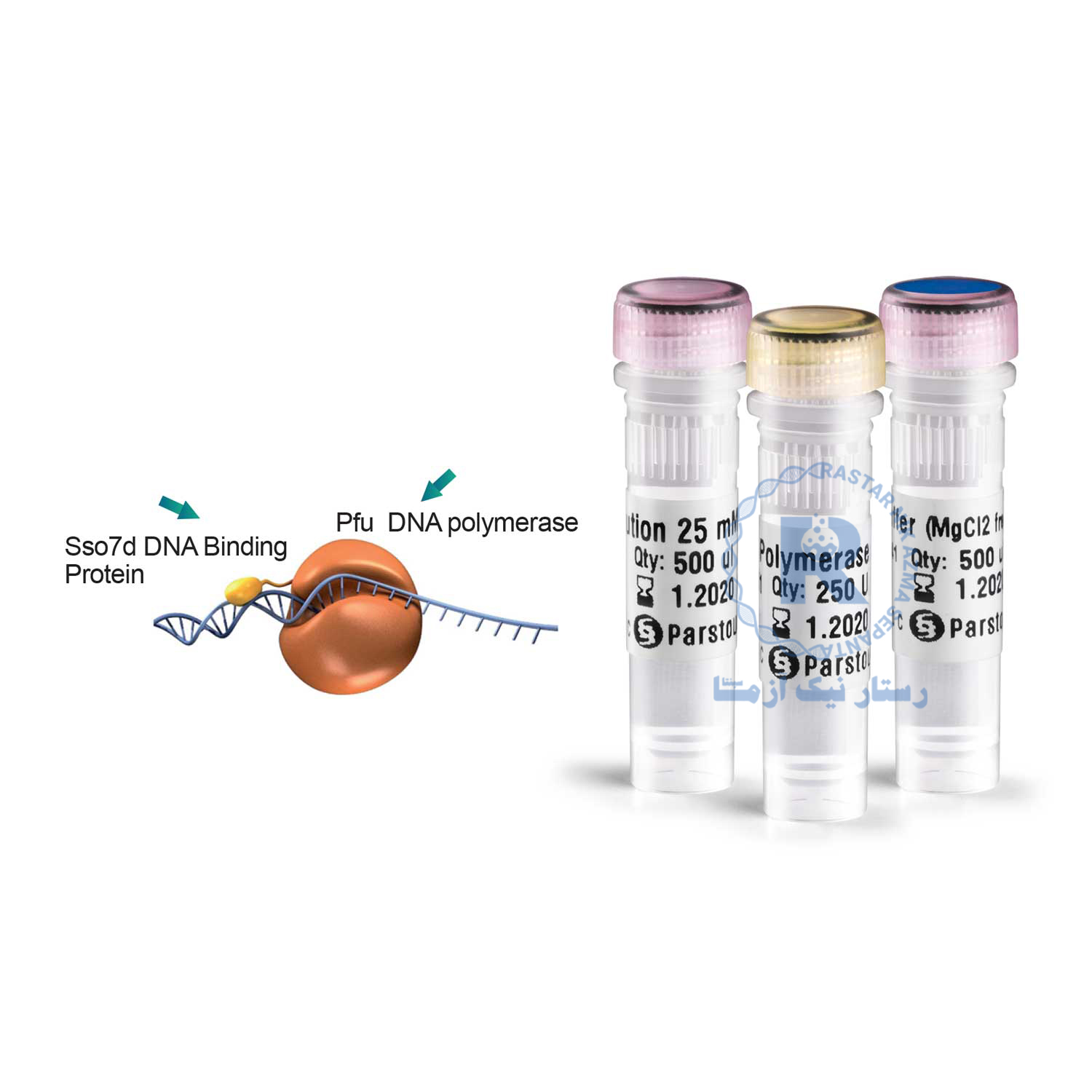  Pfu DNA polymerase (high fidelity, low error)C101142-500 U