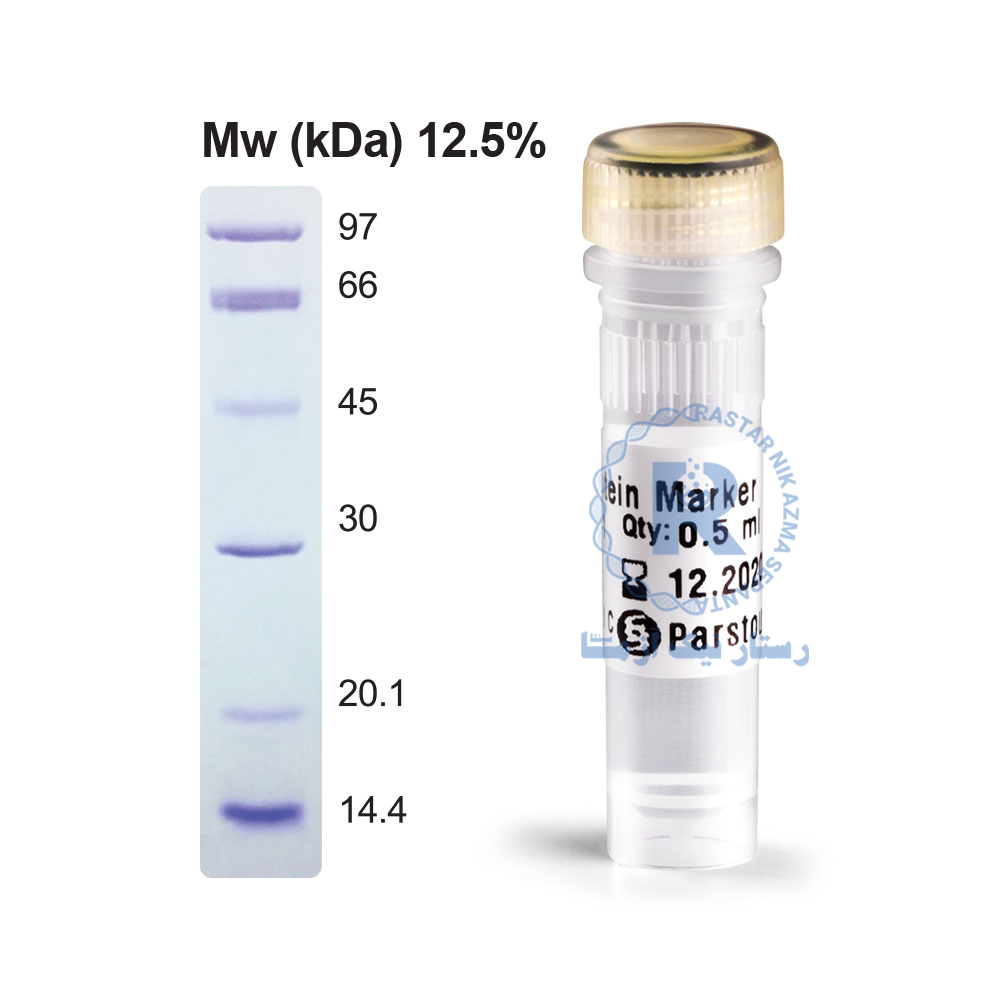 LMW Protein Marker-A101261-0.5 ml