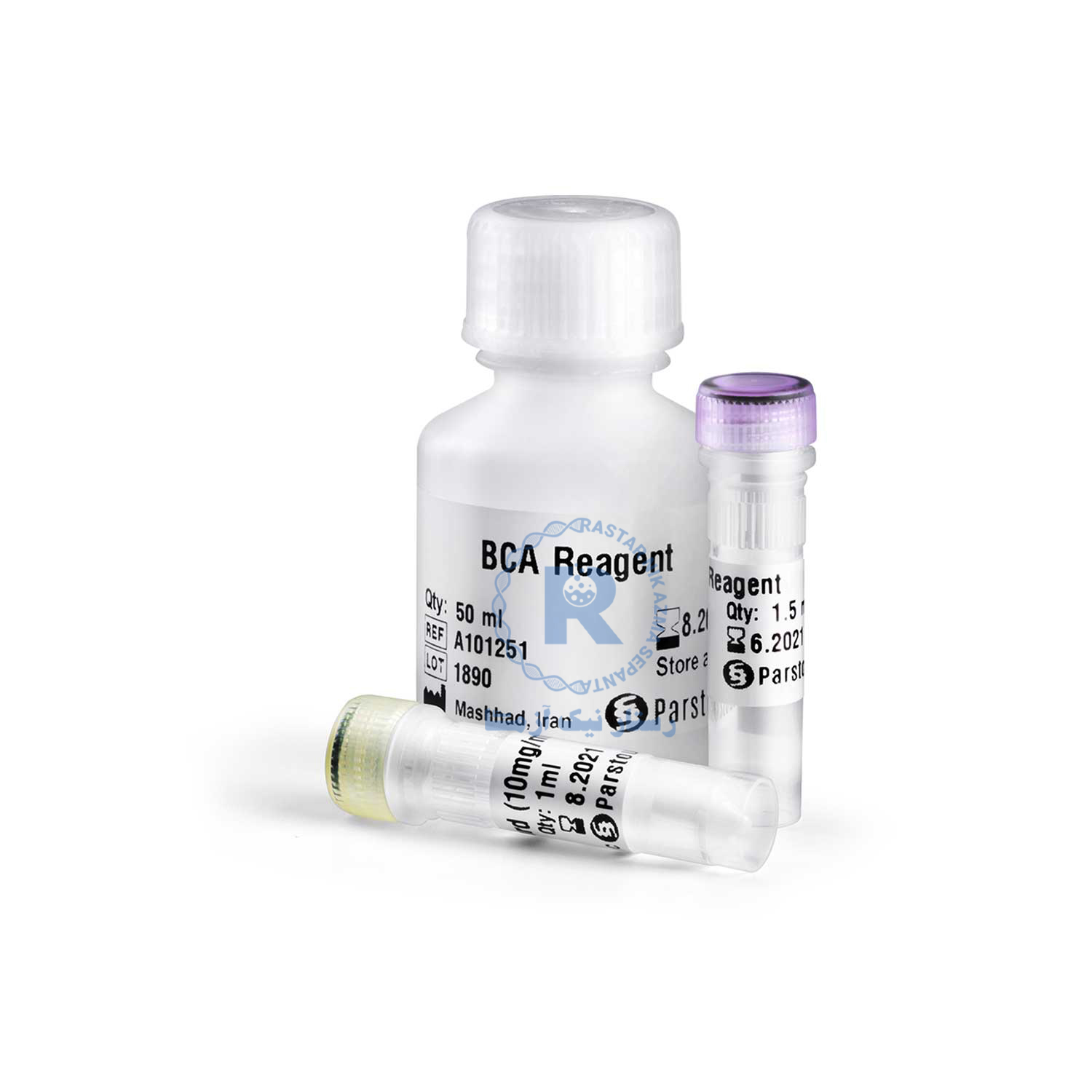 BCA Protein Quantification Kit