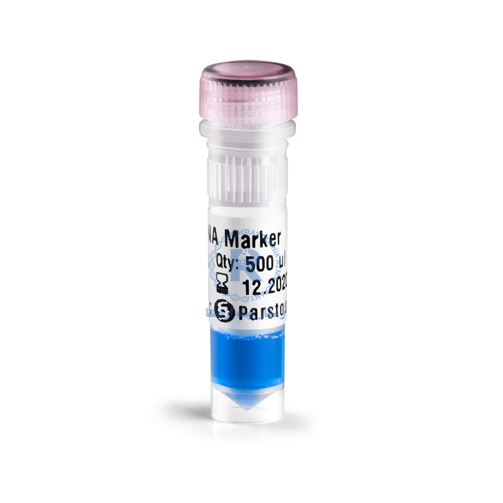  100bp DNA Marker-B111401-500 µl / 50µg