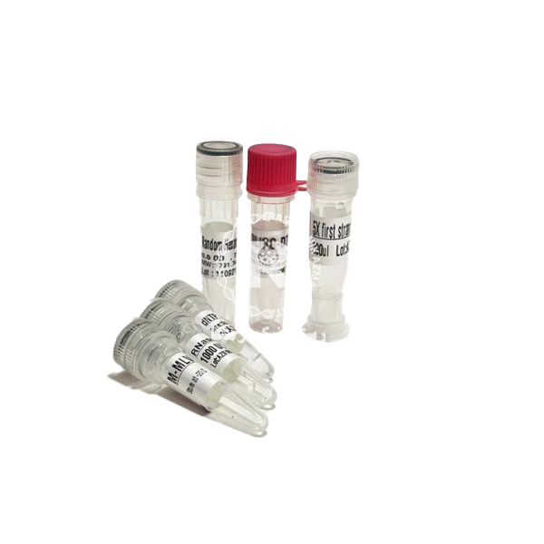 cDNA Synthesis Kit 50 test YT4500 50 test