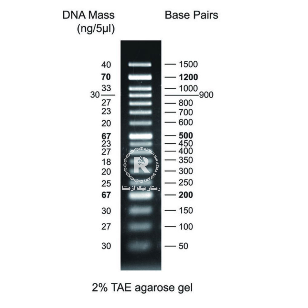 50bp DNA ladder YT8501 500 µl