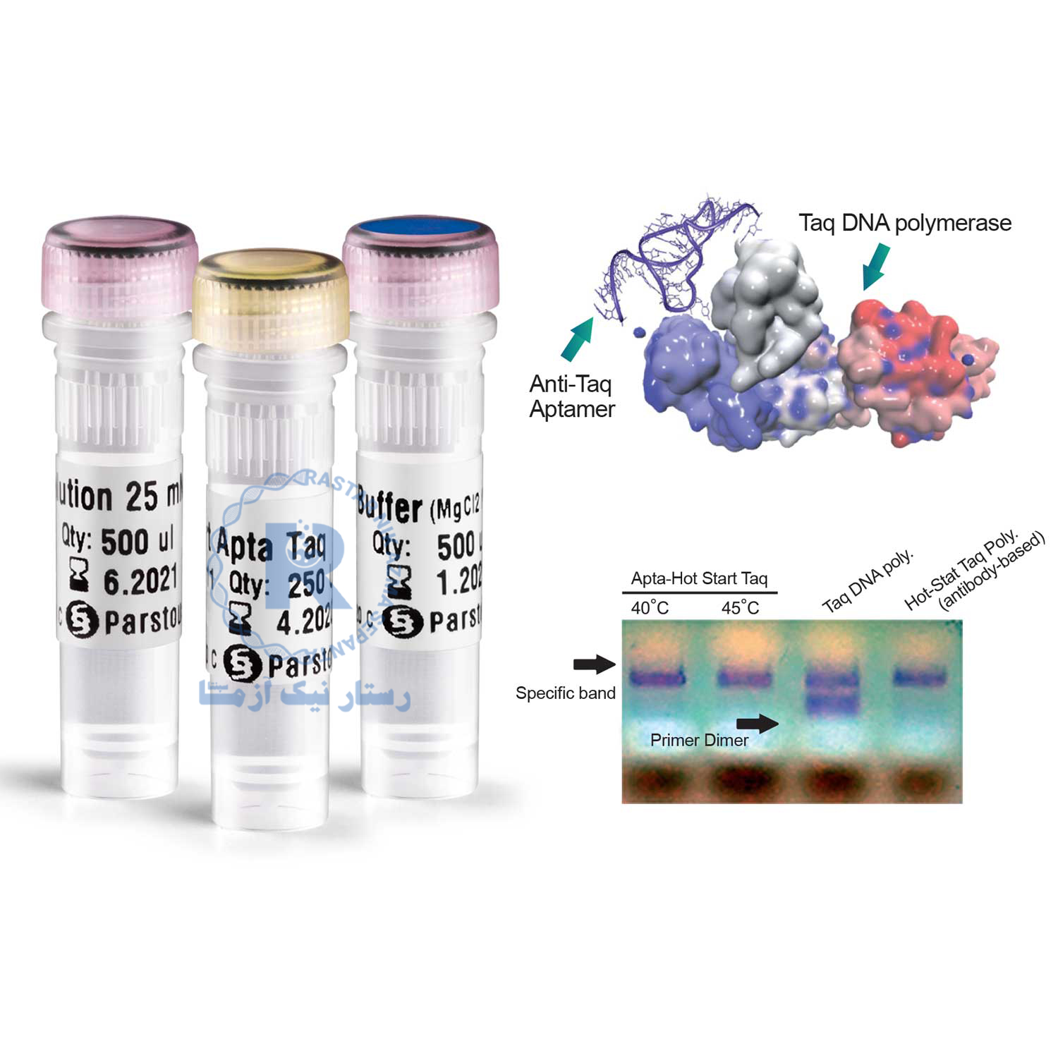 Apta Hot-Start Taq DNA Polymerase-C101012-500 U