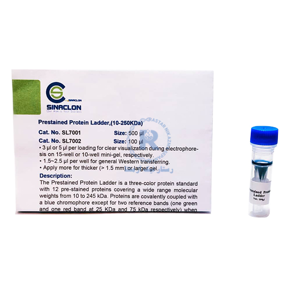 Prestained Protein Ladder 3-color, (9-245KDa)250 µl-SL7003