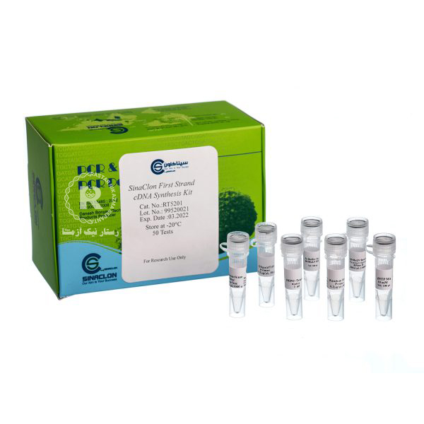 SinaClon First Strand cDNA Synthesis Kit 50T-RT5201