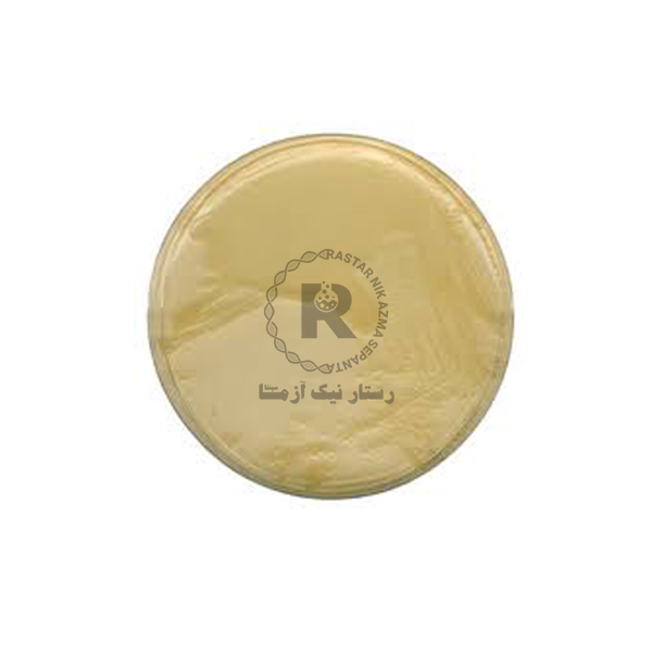 LB AGAR 500G مرك (110283)