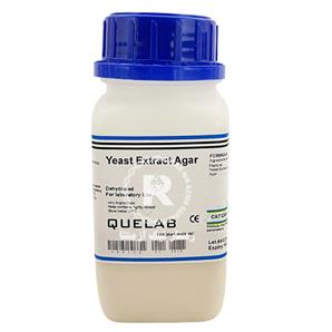 yeast extract agar کیولب