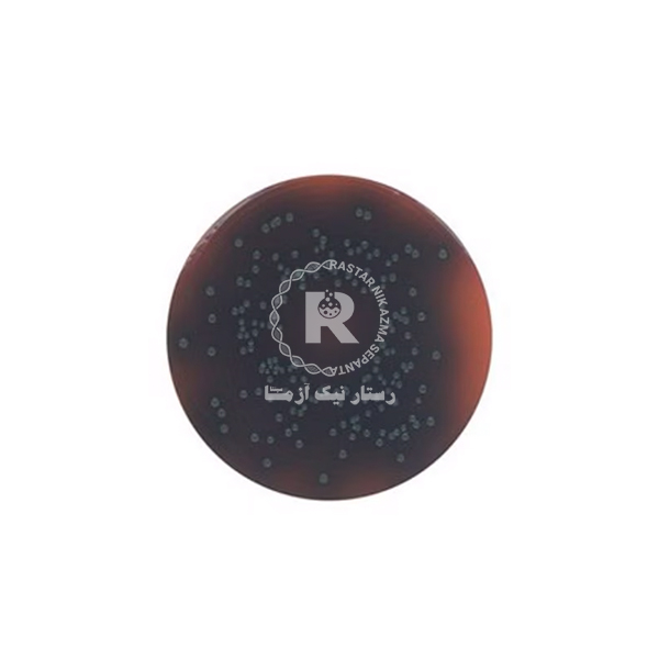 palcam listeria selective agar -500gr سيگما آلدريچ 75977
