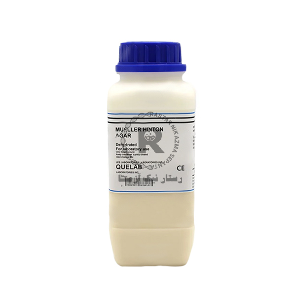 MUELLER HINTON AGAR 500G -كيولب