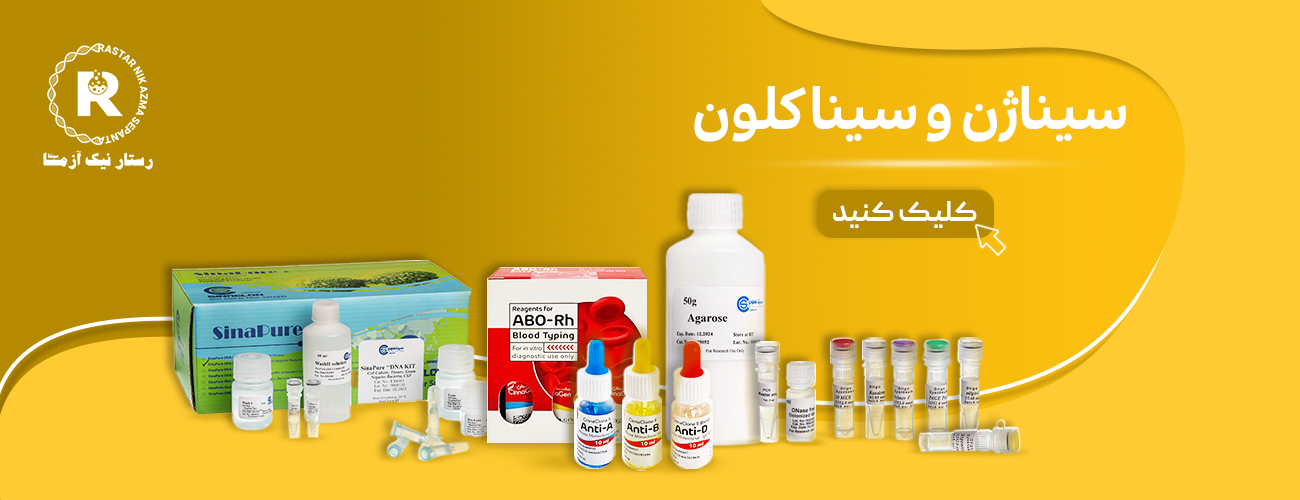 سینا ژن و سیناکلون-8